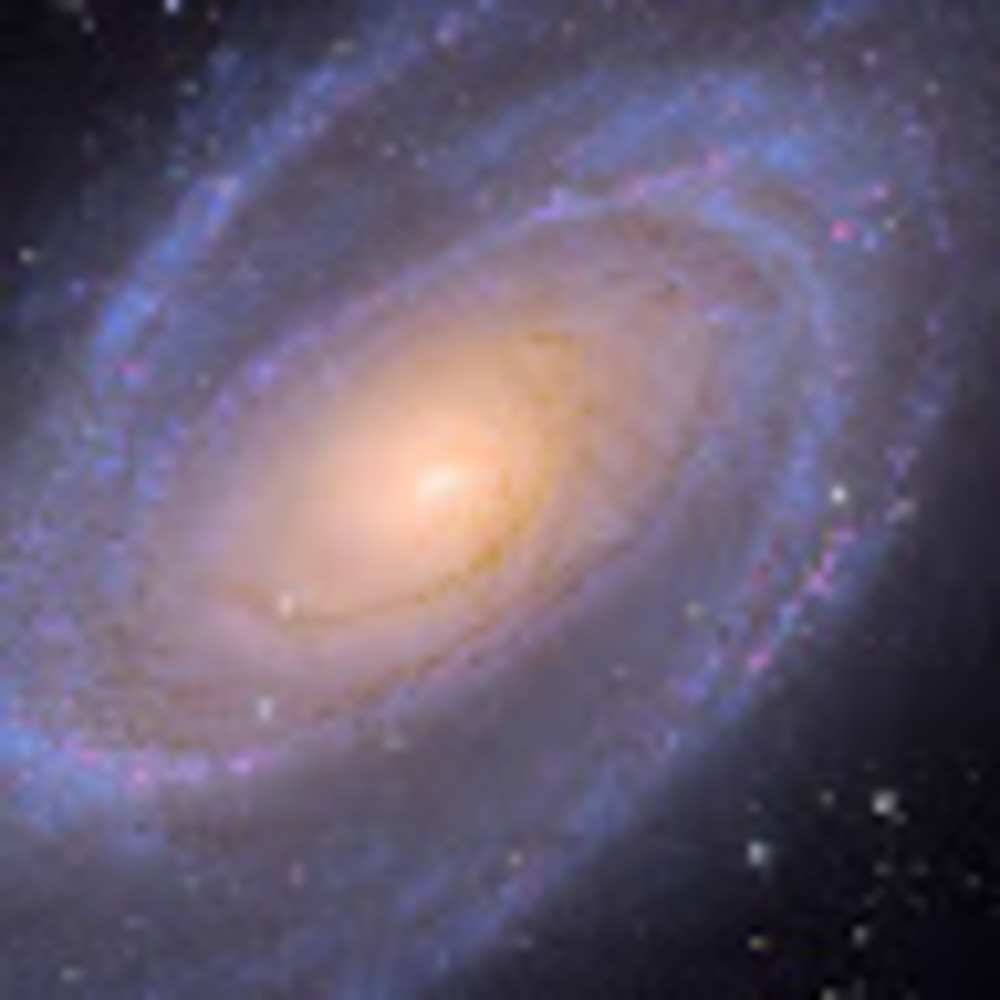 Meet your Posher, Margaro